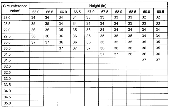 Weight & Body Fat Percentage Scale